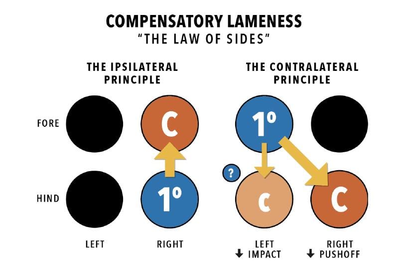 FAQ: Why does the Trial AIDE that evaluates for compensatory lameness patterns suggest a primary lameness in some trials but not others when the patterns of asymmetry are the same?