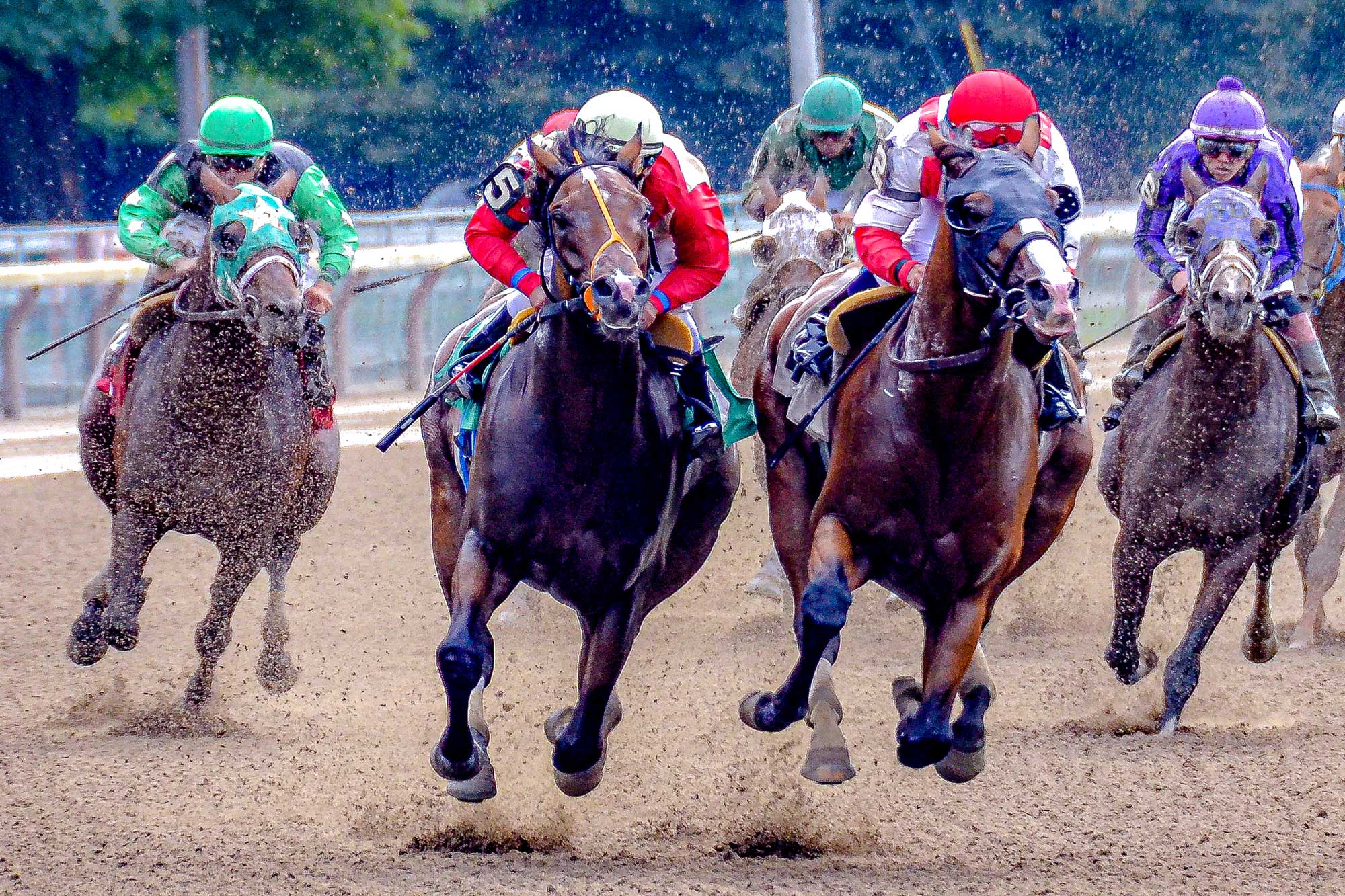 Motion Sensor Technology: Advancing Racehorse Safety One Step at a Time
