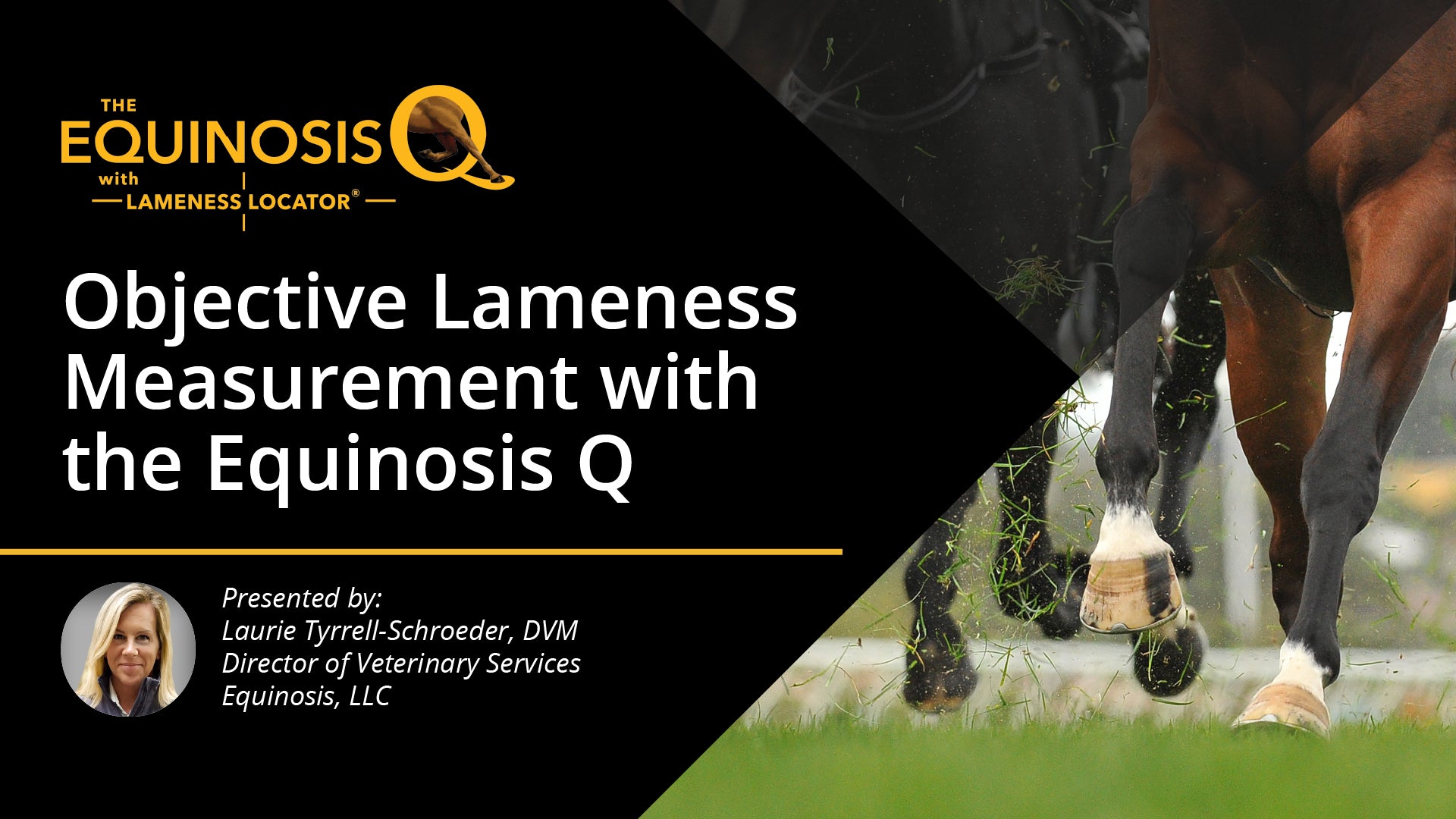 Informational Webinar: Objective Lameness Measurement with the Equinosis Q