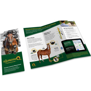 Equinosis Q Client Brochure Download